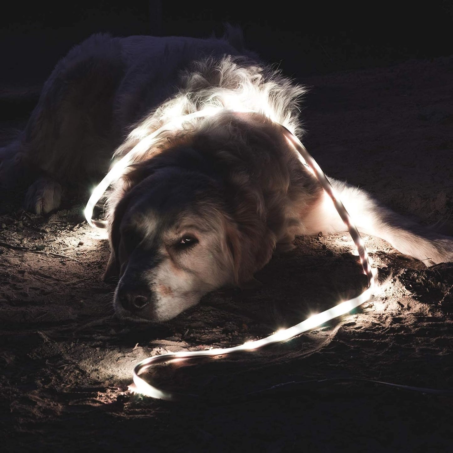 Luminoodle Original Univerzális LED Szalag – Vízálló Kemping Világítás és Hordozható Lámpás