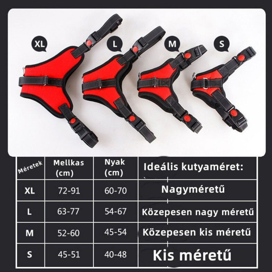 DEKO kutyahám mérettáblázat S–XL méretekkel, mellkas- és nyakbőség centiméterben