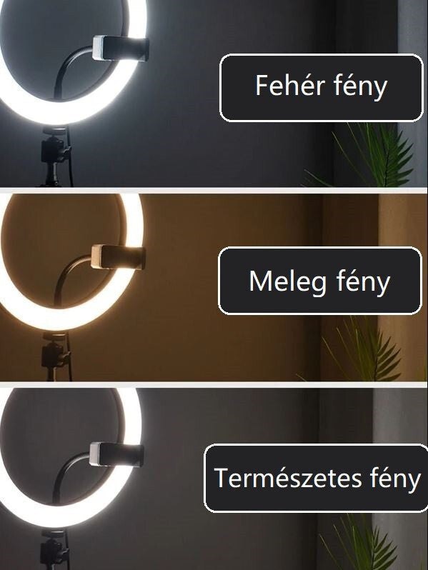 Jeemak PC50 Körfény Szett – LED Selfie Lámpa Állvánnyal és Telefontartóval - Maxihome