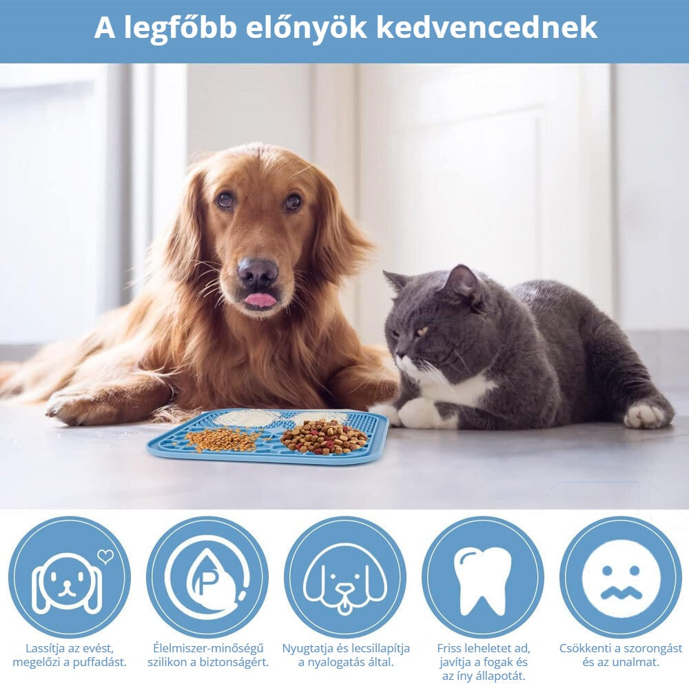 Adoric lassú etetőtál – a legfőbb előnyök kutyáknak és macskáknak