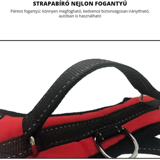 DEKO kutyahám, piros – strapabíró nejlon fogantyú