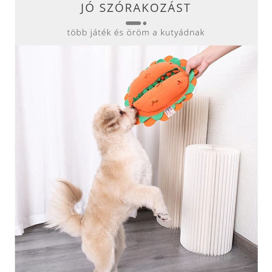 Doglemi Chomper szimatjáték kutyáknak – játék közben