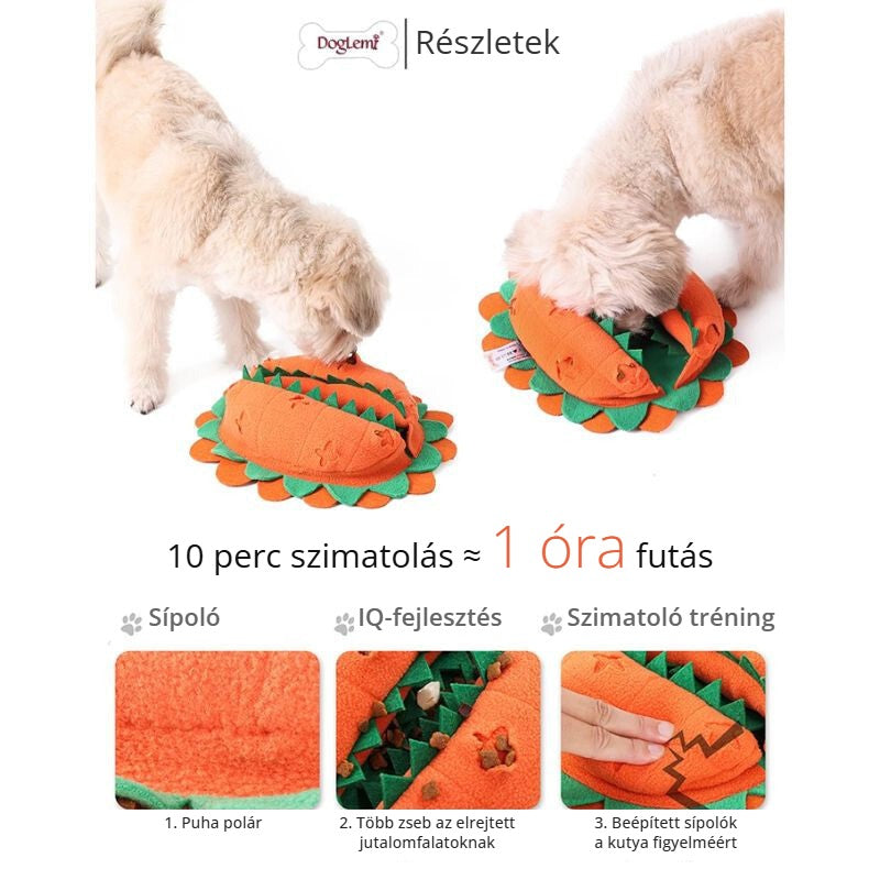 Doglemi Chomper szimatjáték – részletek, sípoló, IQ-fejlesztés