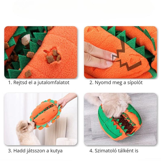 Doglemi Chomper szimatjáték – használat lépései