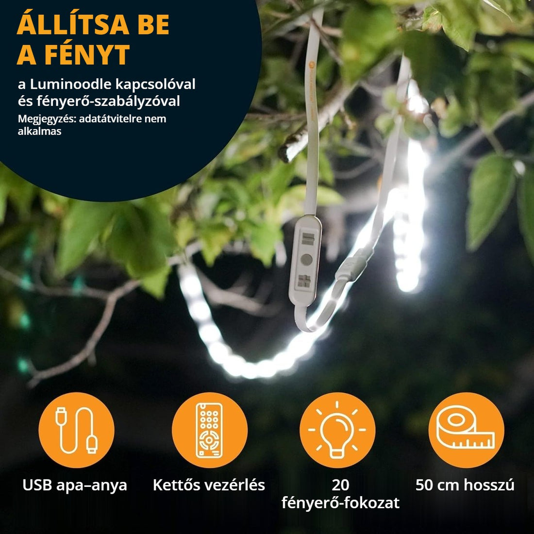 Luminoodle USB LED vezérlő RF távirányítóval – testre szabható fény