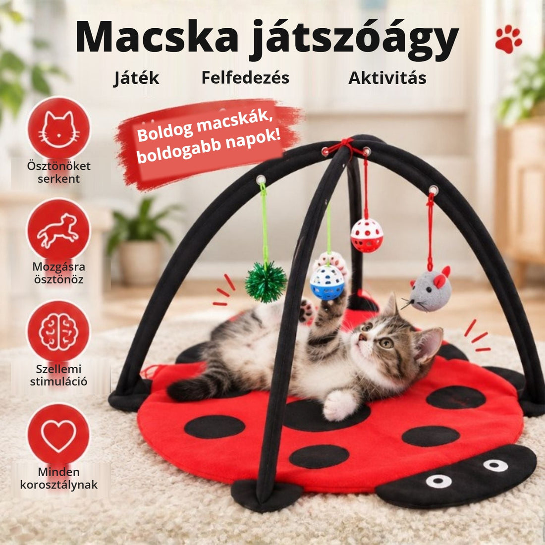 Macska játszóágy lógó játékokkal – játék, felfedezés, aktivitás