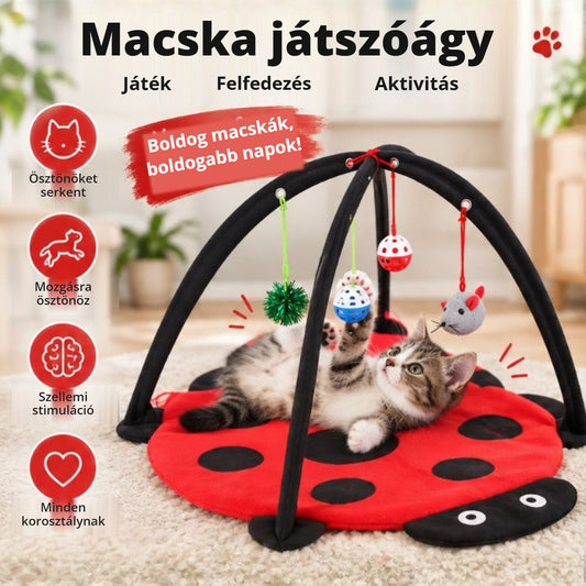 Macska játszóágy lógó játékokkal – játék, felfedezés, aktivitás