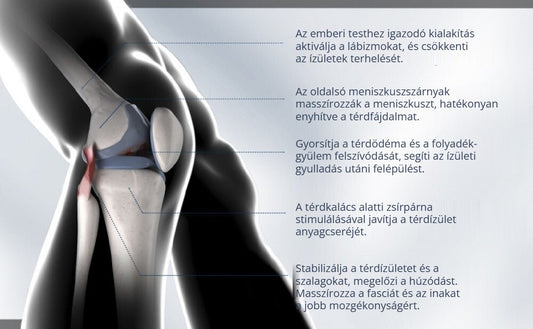 Rokesa térdrögzítő – meniszkusz masszázs, ízületstabilizálás, fájdalomcsillapítás