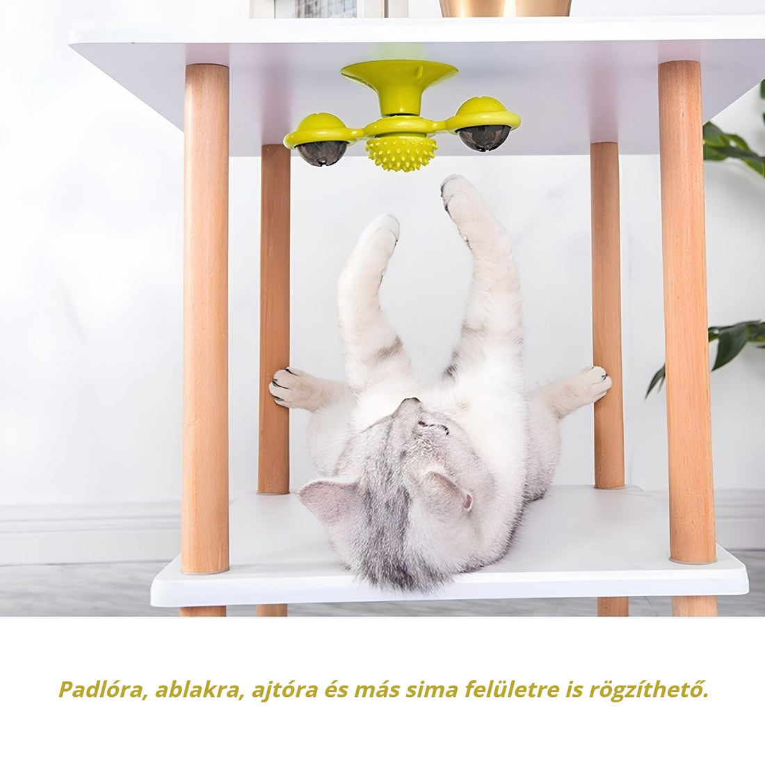 Tapadókorongos szélmalom macskajáték – padlóra, ablakra, ajtóra rögzíthető