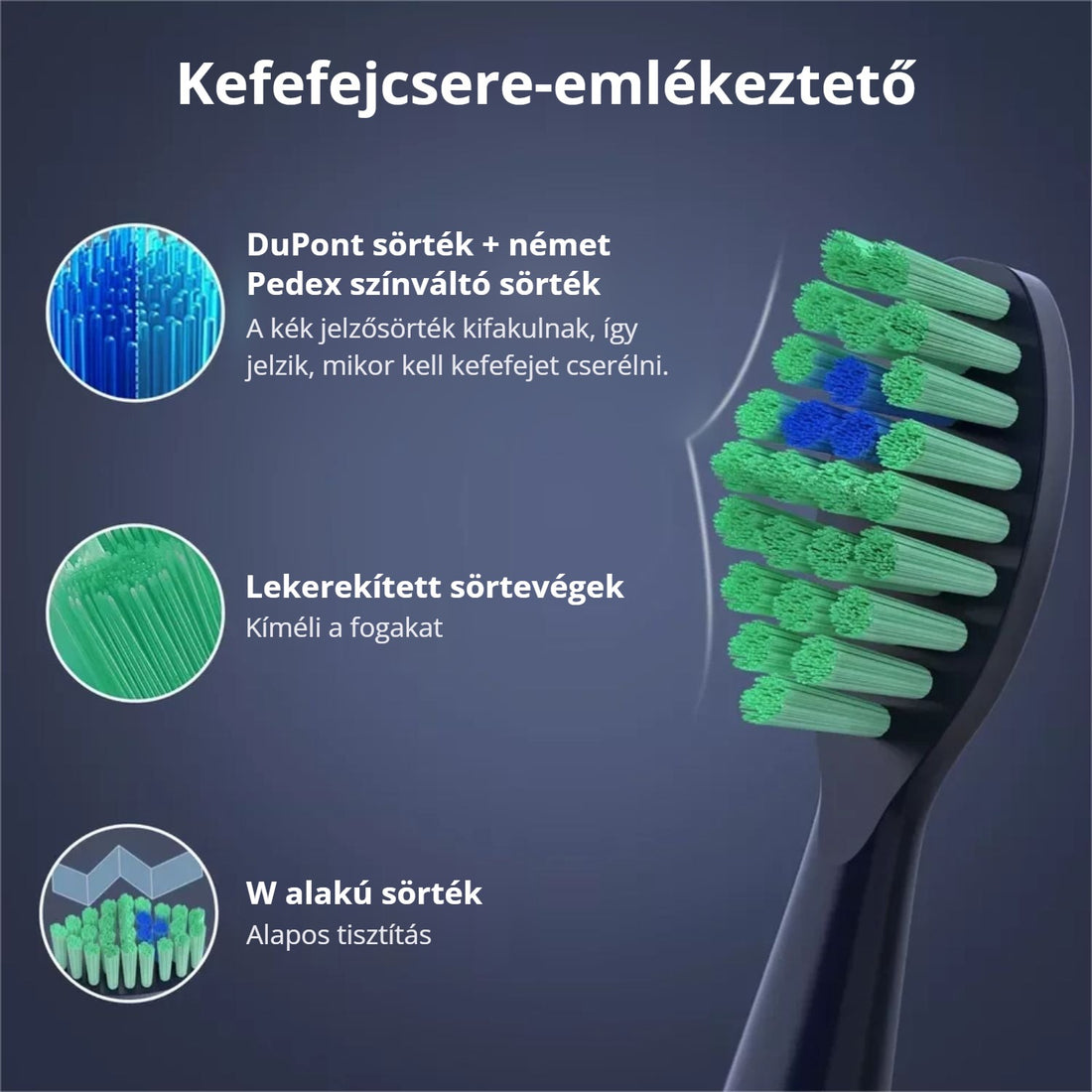 Sejoy szonikus elektromos fogkefe – kefefejcsere-emlékeztető sörték